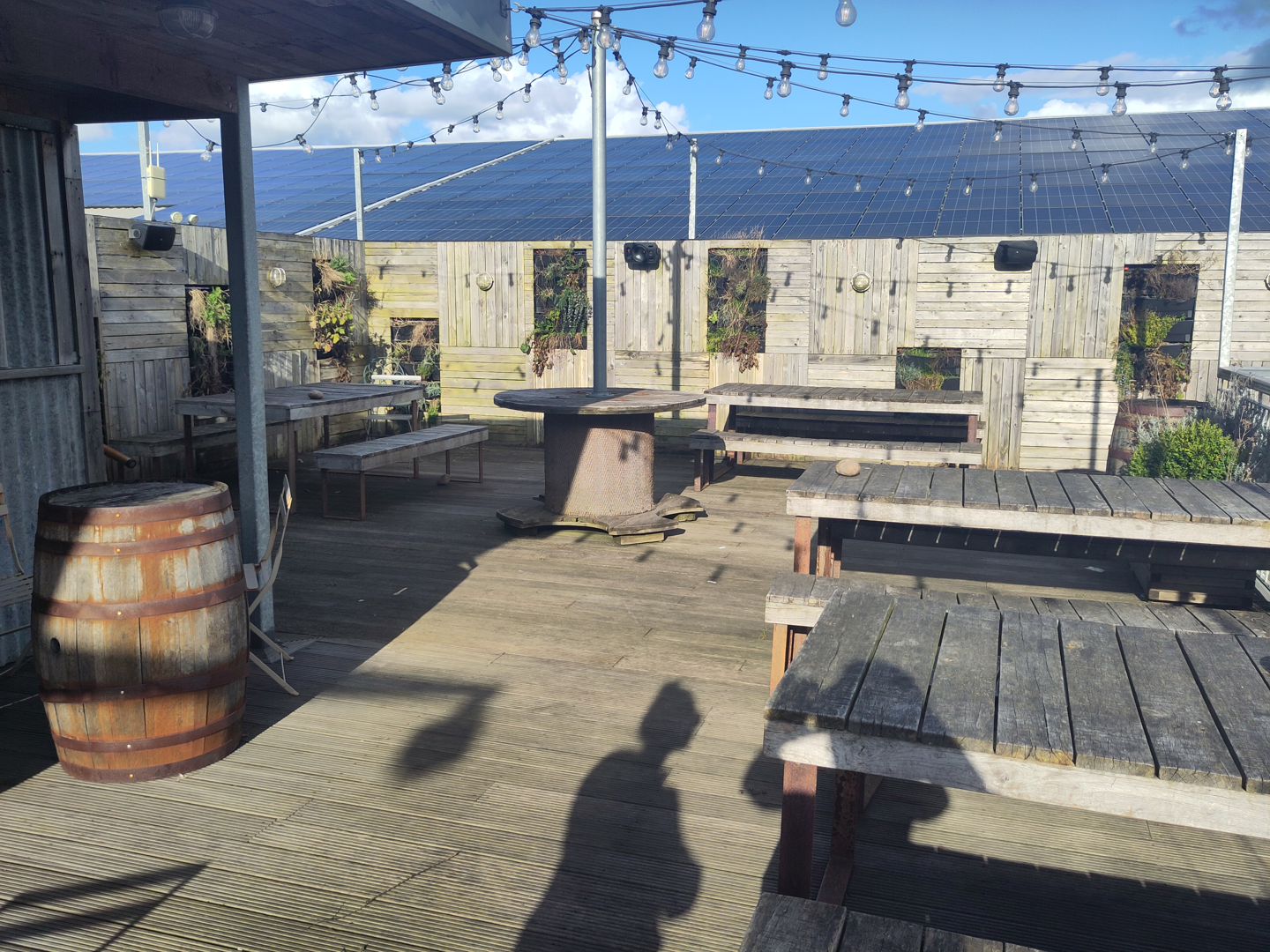 Darts Farm - Cow & Cacao
