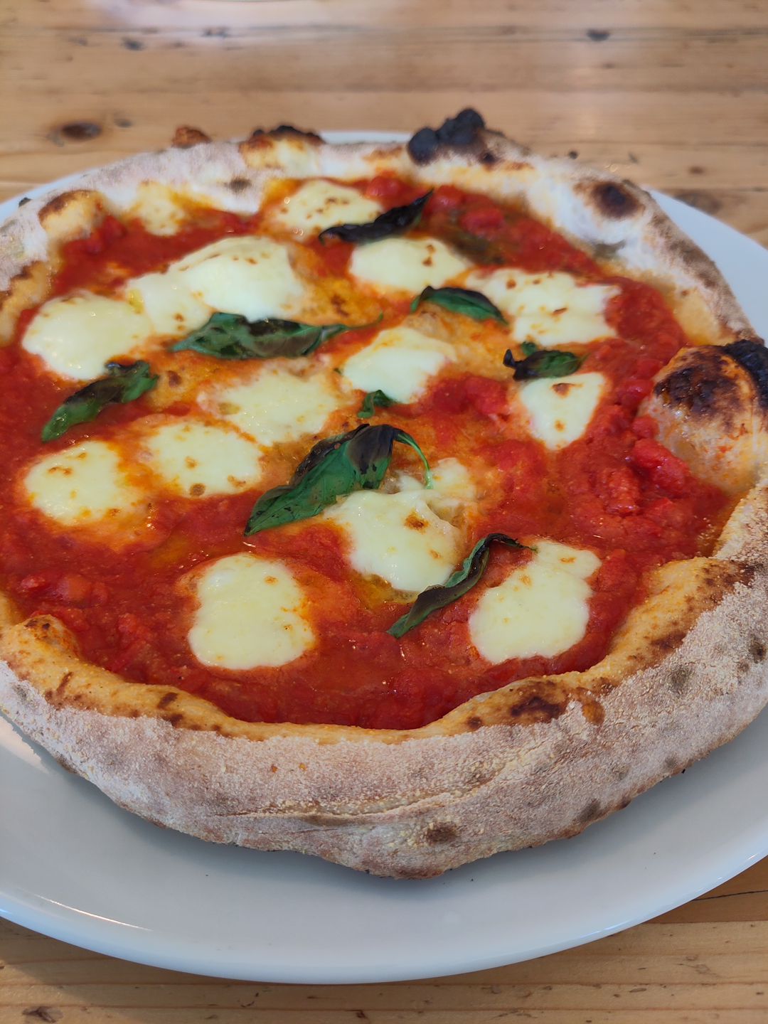 Margherita Pizza